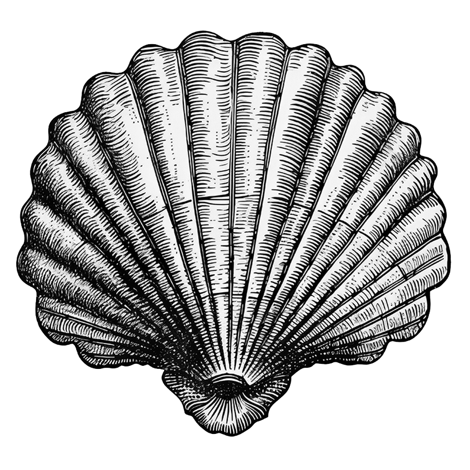 L'amour à la plage